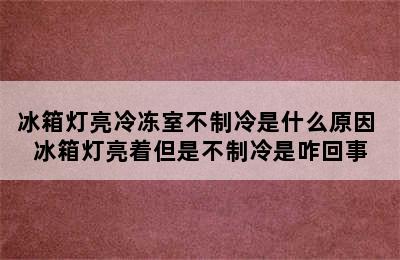 冰箱灯亮冷冻室不制冷是什么原因 冰箱灯亮着但是不制冷是咋回事